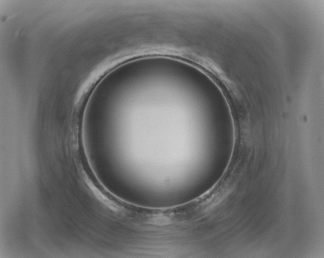 X0000080741504200612151236