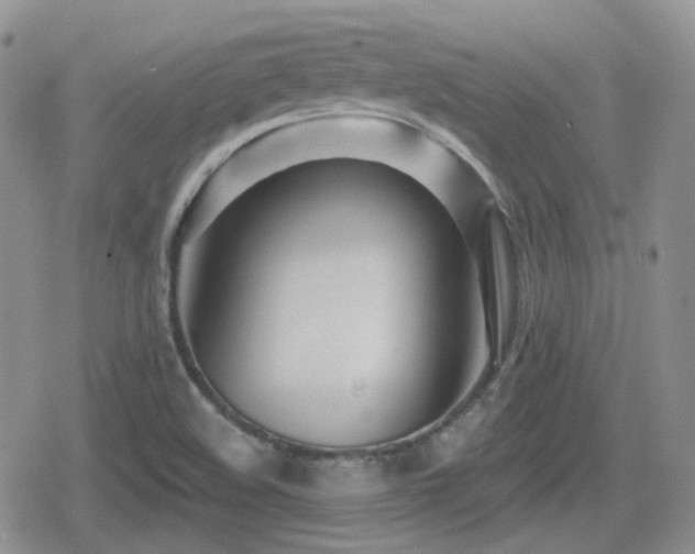 X0000080741508200612151236
