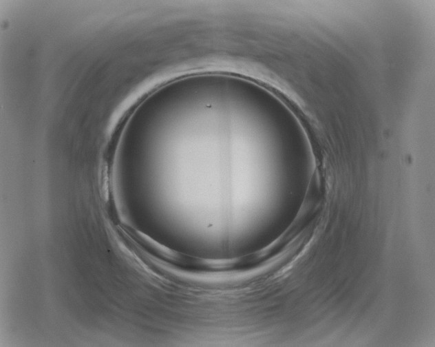 X0000080741510200612151236