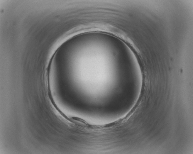 X0000080741516200612151236