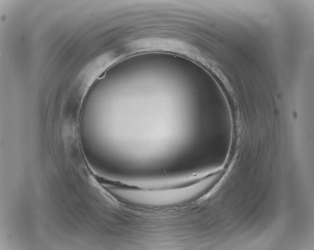 X0000080741529200612151236