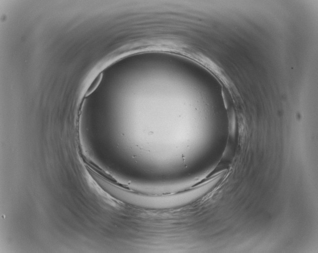 X0000080741532200612151237