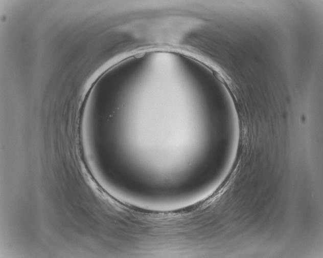X0000080741534200612151237