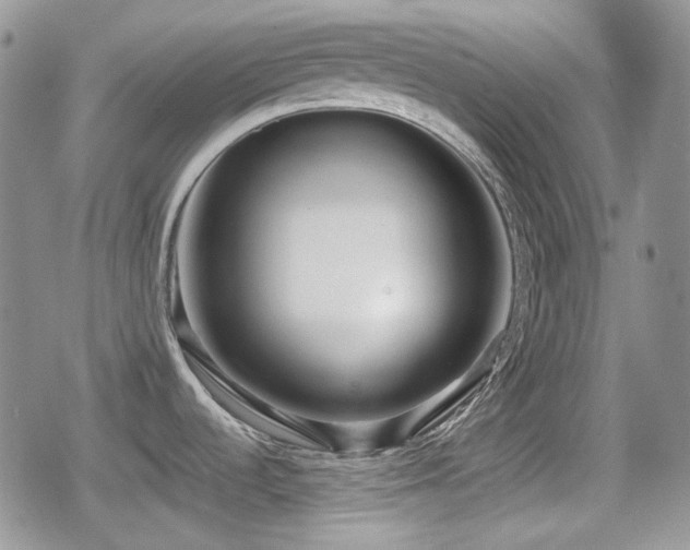 X0000080741536200612151237