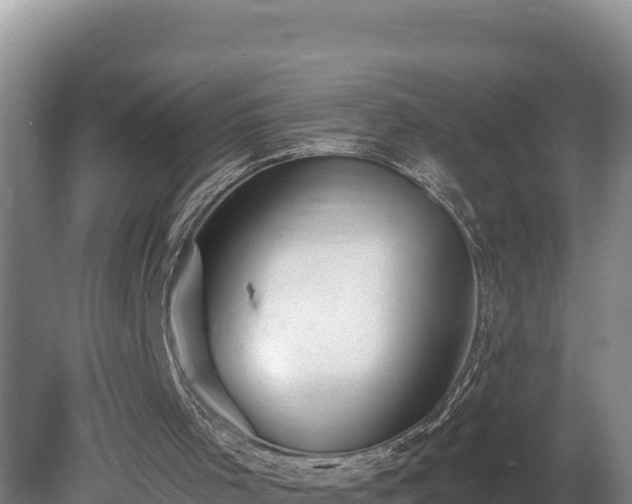 X0000080740001200612221331