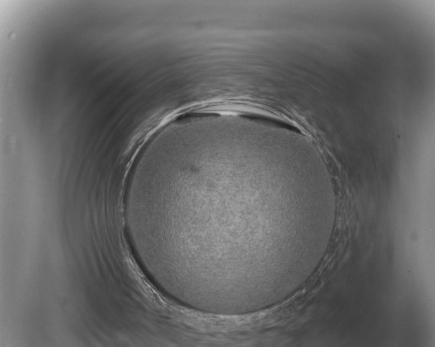 X0000080740002200612221331