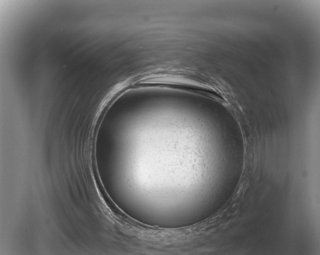 X0000080740003200612221331