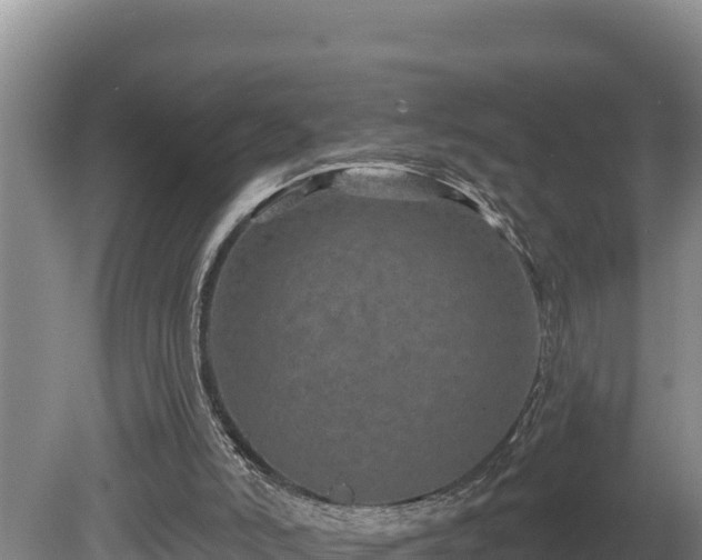 X0000080740006200612221331