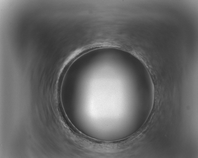 X0000080740008200612221331