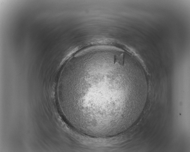 X0000080740010200612221331