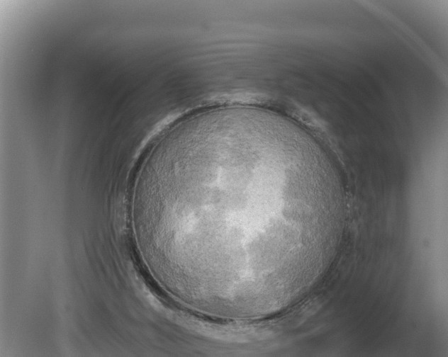 X0000080740012200612221331