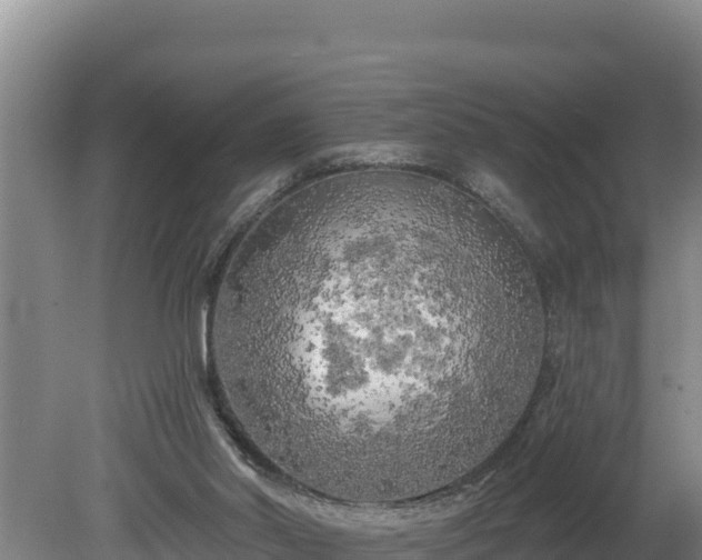 X0000080740014200612221331