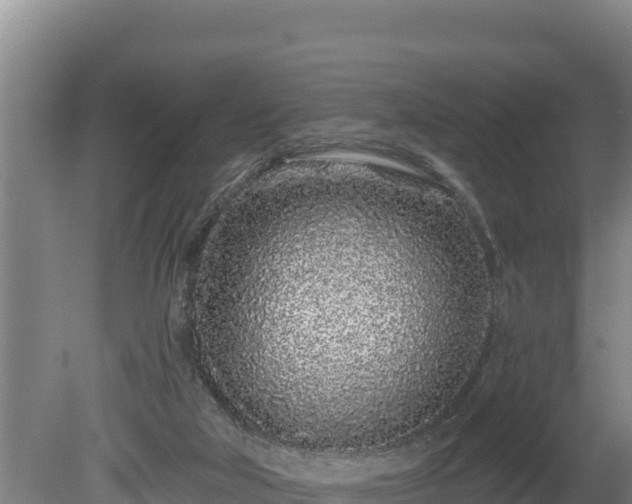 X0000080740018200612221330