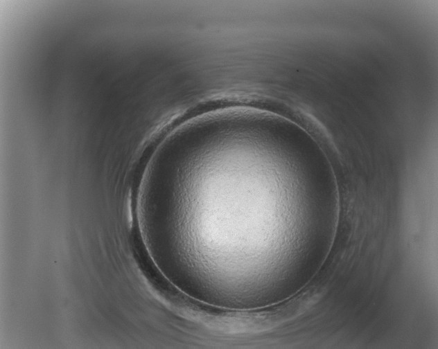 X0000080740020200612221330