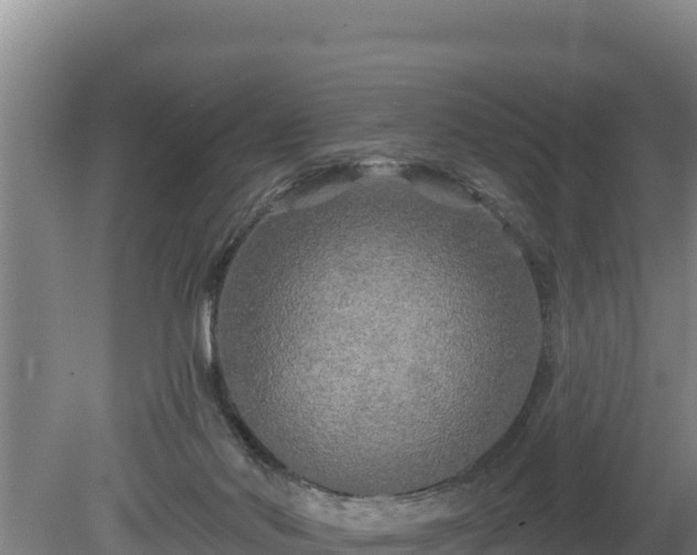 X0000080740022200612221330