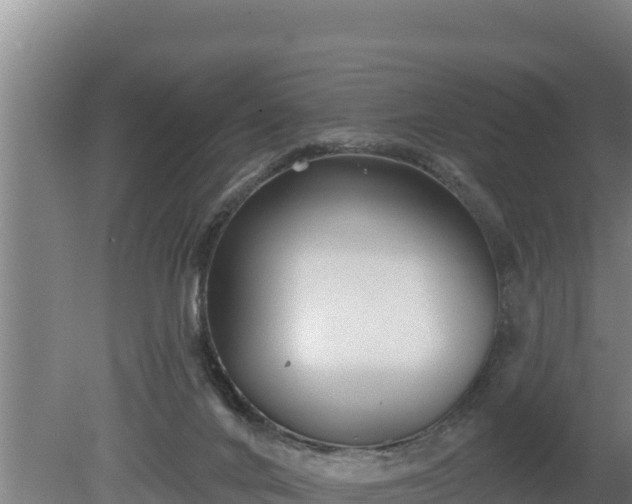 X0000080740024200612221330