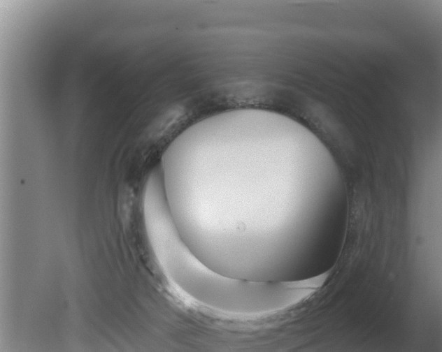 X0000080740025200612221330