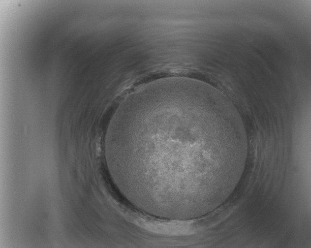 X0000080740032200612221330