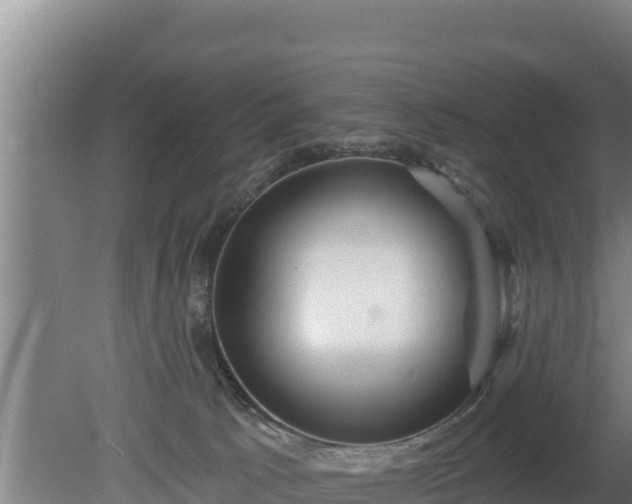 X0000080740033200612221330