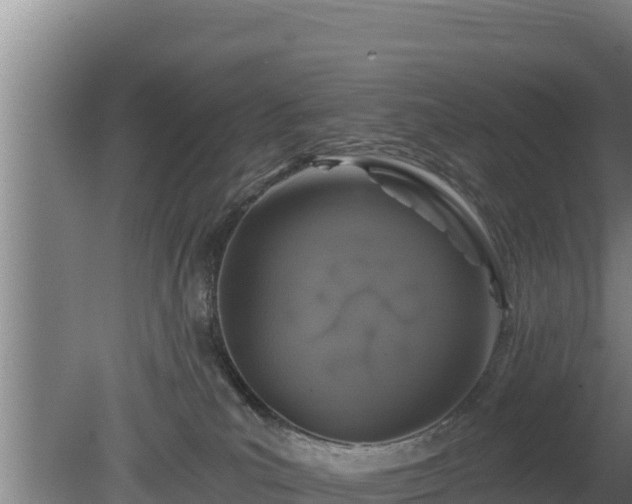 X0000080740039200612221330