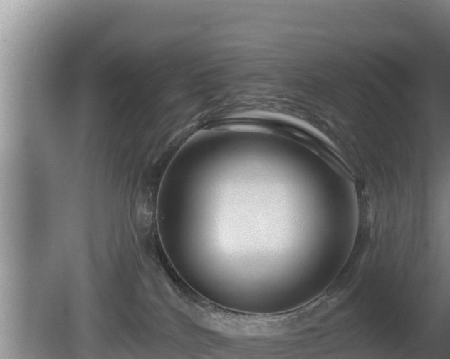 X0000080740040200612221330