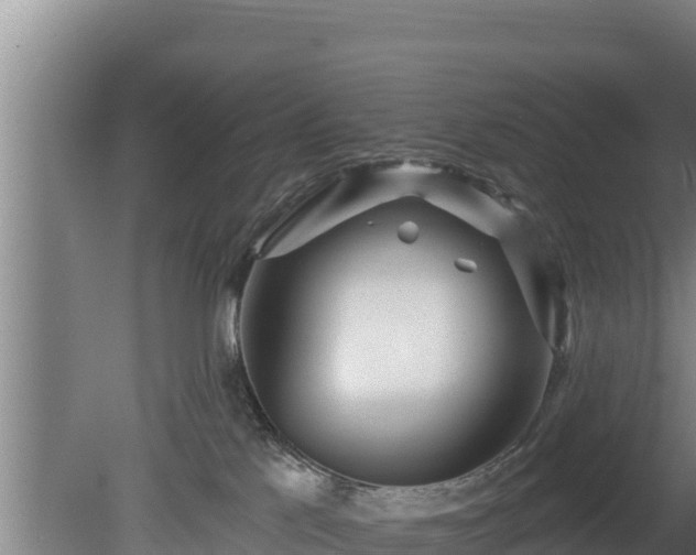 X0000080740041200612221330