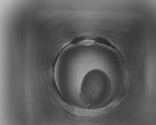 X0000080740048200612221330