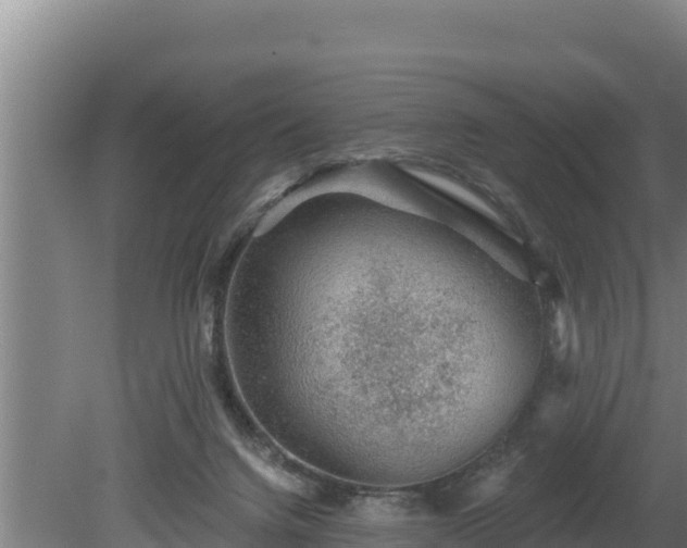 X0000080740072200612221330