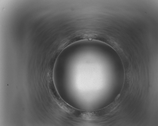 X0000080740079200612221330