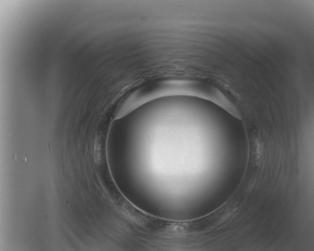 X0000080740080200612221330