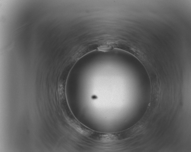 X0000080740087200612221330