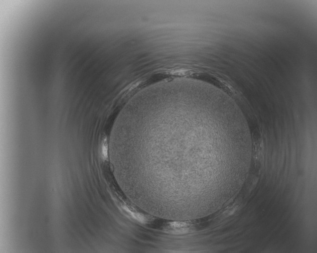 X0000080740095200612221330