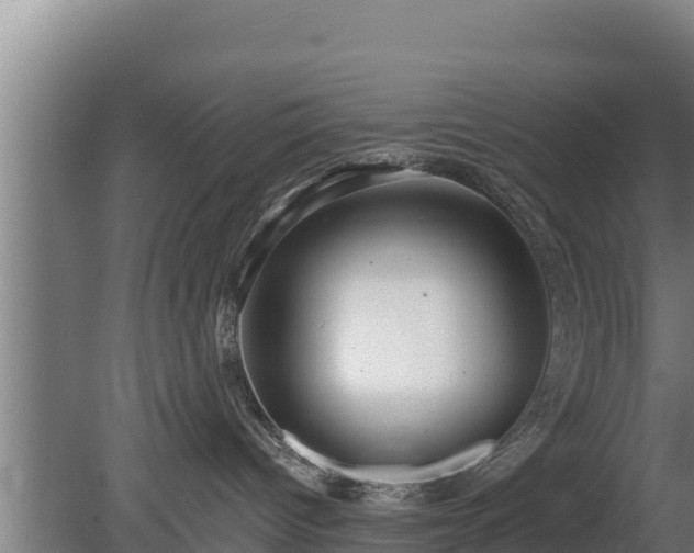 X0000080740096200612221330