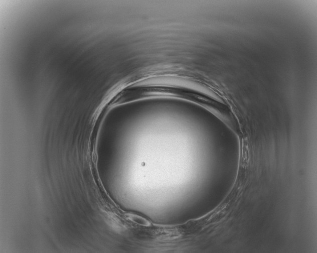 X0000080740099200612221329