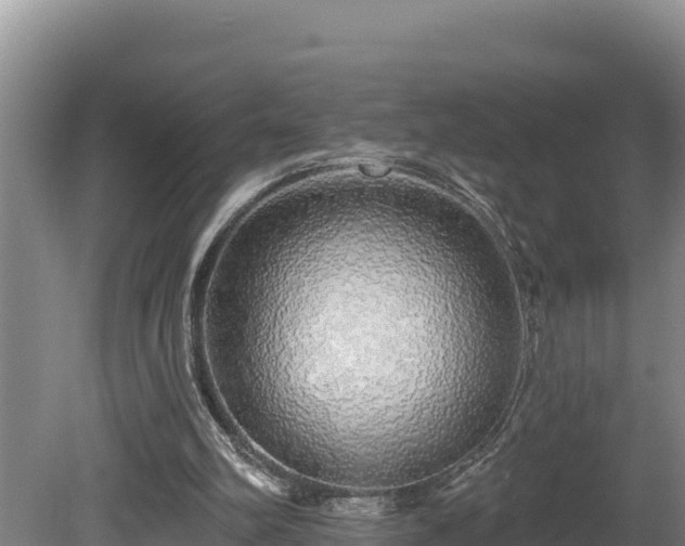 X0000080740102200612221329