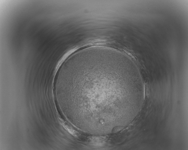 X0000080740147200612221328