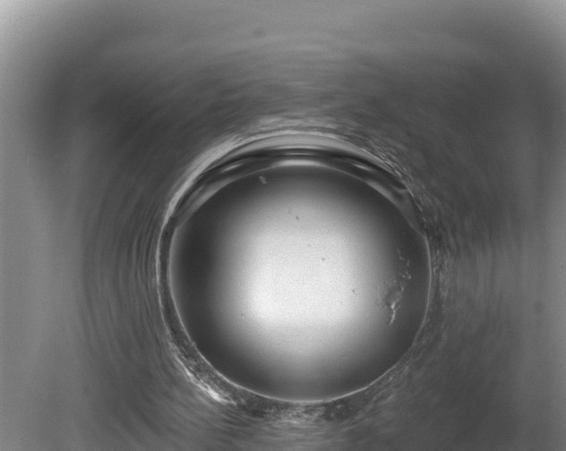 X0000080740148200612221328