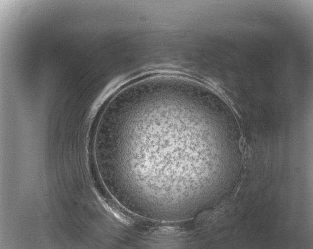 X0000080740151200612221328