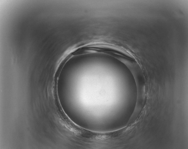 X0000080740152200612221328