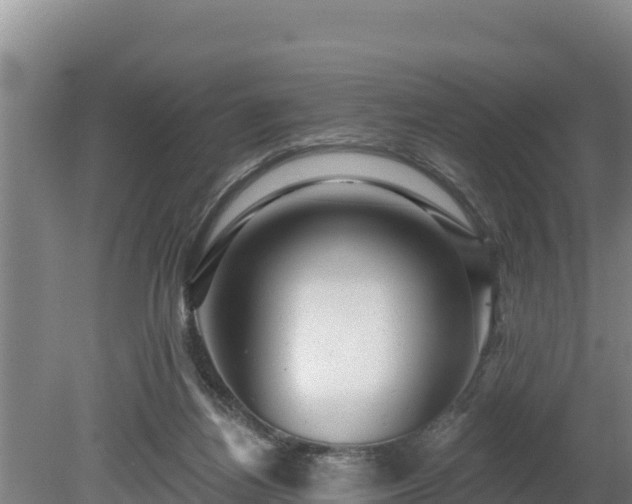 X0000080740164200612221328