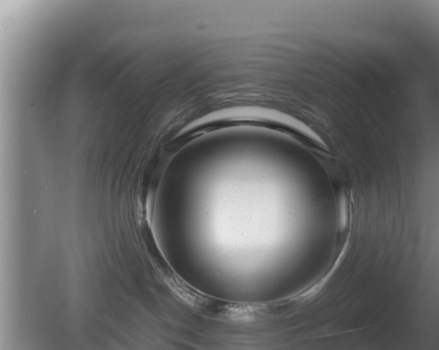X0000080740190200612221328