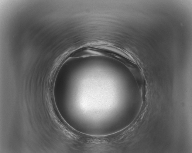 X0000080740193200612221328
