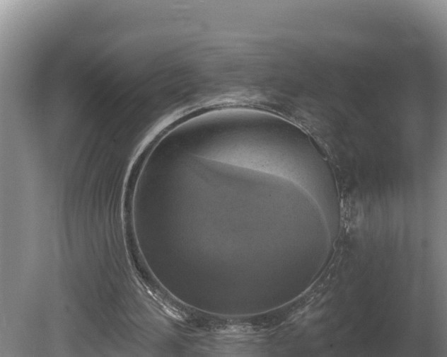 X0000080740196200612221327