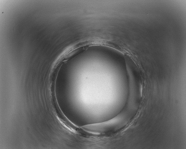 X0000080740197200612221327
