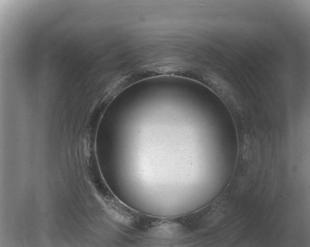 X0000080740210200612221327