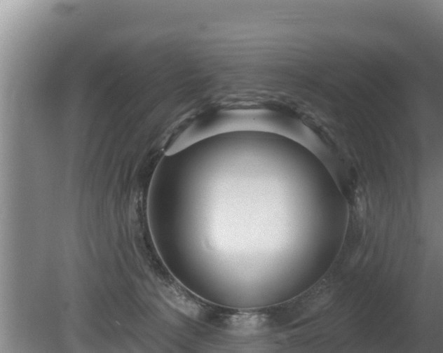 X0000080740225200612221327