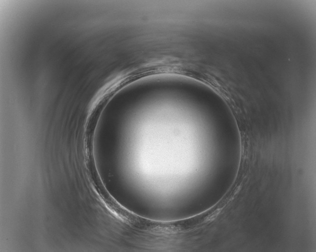 X0000080740245200612221326