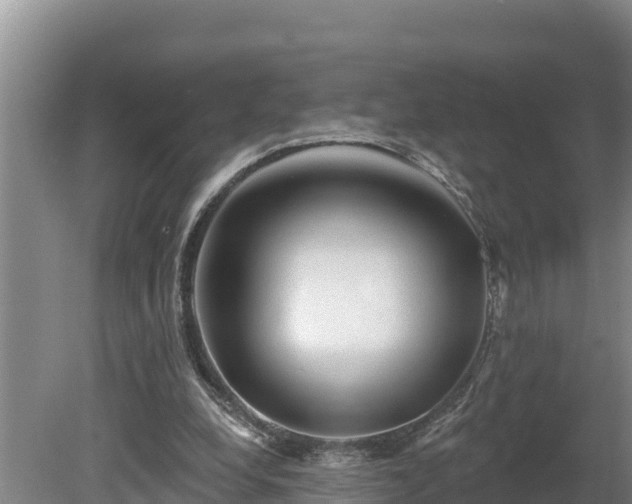X0000080740248200612221326