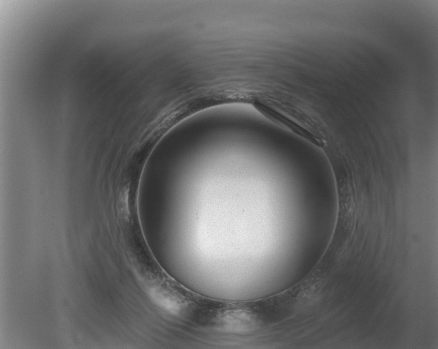 X0000080740262200612221326