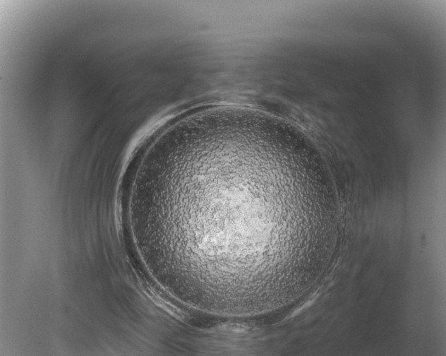 X0000080740294200612221326